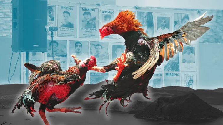 Bí Quyết Tham Gia Cách Chơi Đá Gà Sabong Hi88 2 Bí Quyết Tham Gia Cách Chơi Đá Gà Sabong Hi88