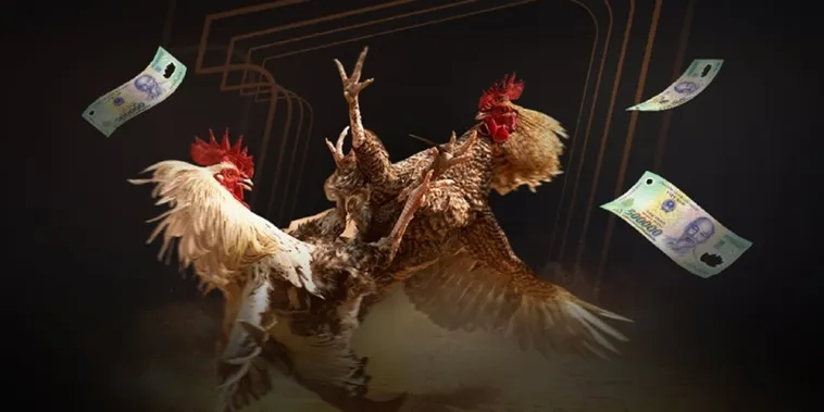 Khám Phá Đá Gà Hi88 Sân Chơi Cá Cược Đỉnh Cao Hấp Dẫn